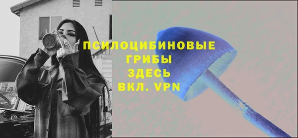 гашик Нягань