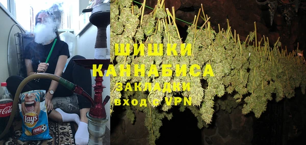 амф Новозыбков