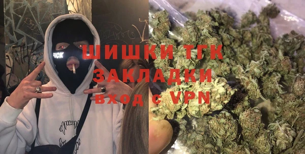 амф Новозыбков