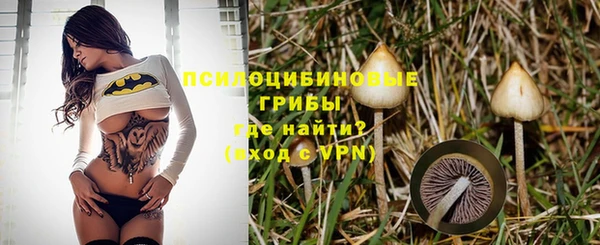амф Новозыбков