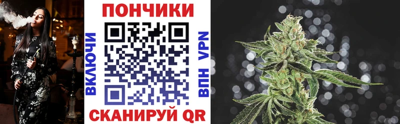 Бошки марихуана гибрид  магазин  наркотиков  Никольское 